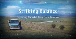 striking-balance